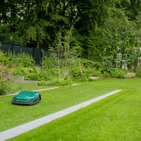 Altijd een Perfect Gazon: De Voordelen van een Maairobot