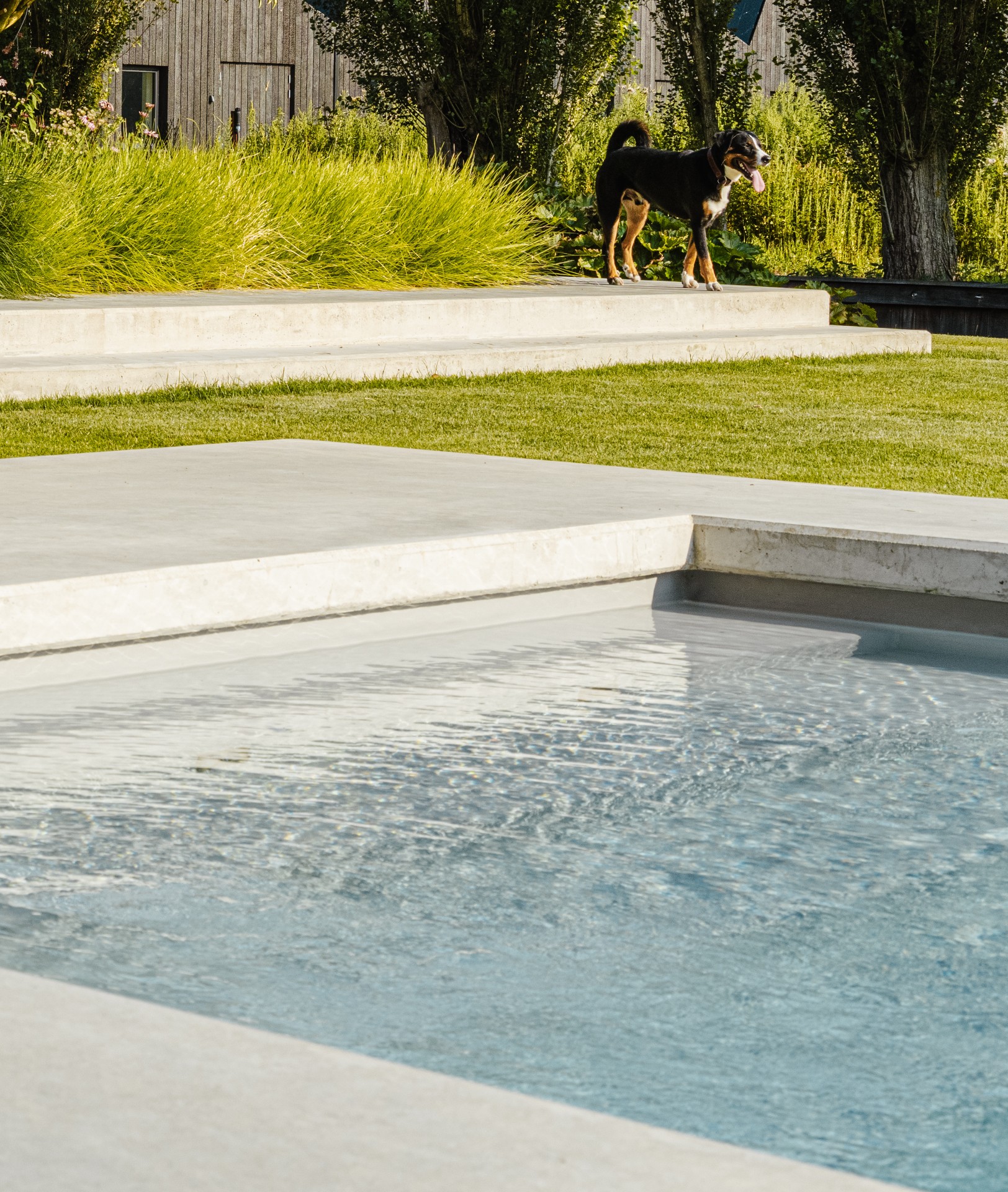 Luxury, Design, Exclusive, Modern, Custom Made, Special, Beautiful