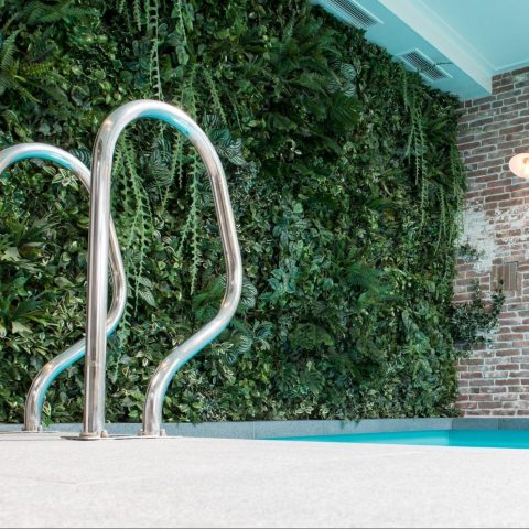 ﻿Plantenwand-inspiratie voor binnen en buiten: natuurlijke elegantie in elk interieur