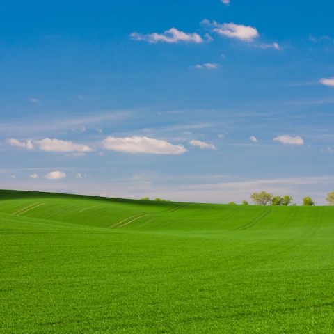De voordelen van kunstgras ten opzichte van echt gras