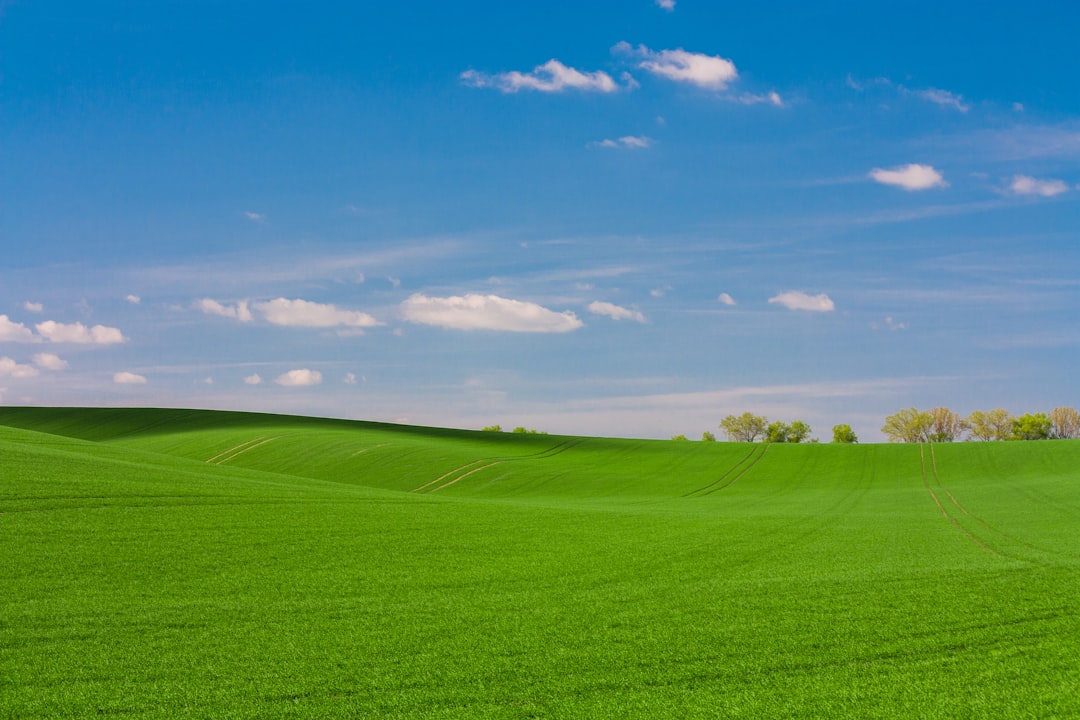 De voordelen van kunstgras ten opzichte van echt gras