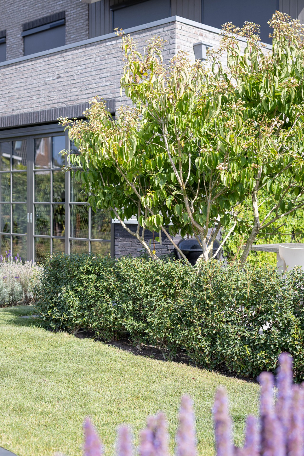 Luxury, Design, Exclusive, Modern, Custom Made, Special, Beautiful
