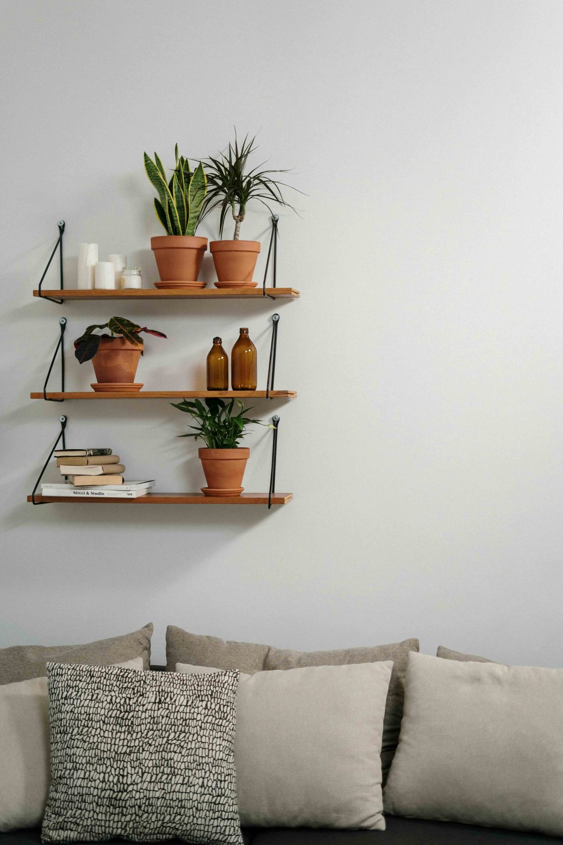 Groen design: met deze planten maak je van je tuin een stijlvol verlengstuk van je interieur 