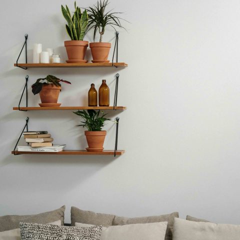 Groen design: met deze planten maak je van je tuin een stijlvol verlengstuk van je interieur 