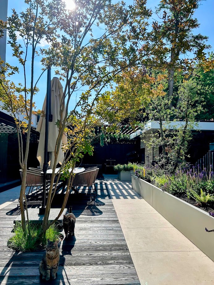 Luxury, Design, Exclusive, Modern, Custom Made, Special, Beautiful
