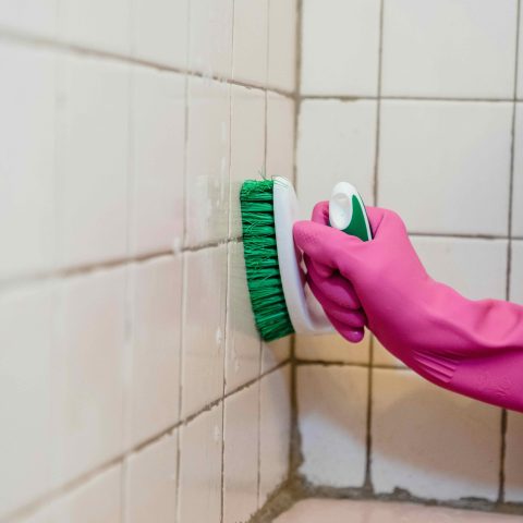 Wat te doen bij schimmel op de muur?