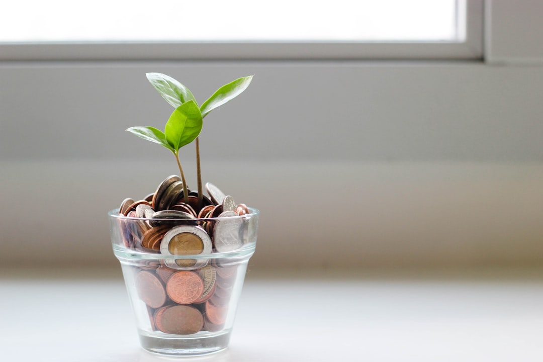 Grip op energie in een wereld van volatiliteit