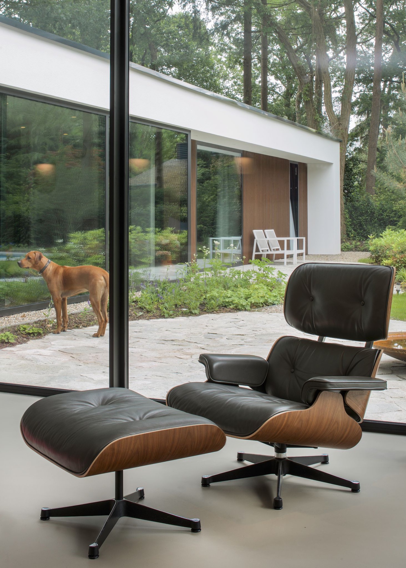 Luxury, Design, Exclusive, Modern, Custom Made, Special, Beautiful
