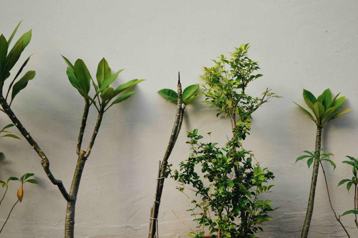 Een zomerse sfeer in huis creëren met natuurlijke materialen en doordachte details