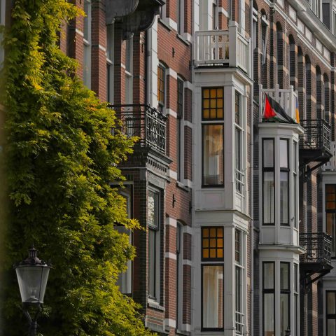Lichtbeheersing als ontwerpbeslissing: de rol van screens in het moderne interieu