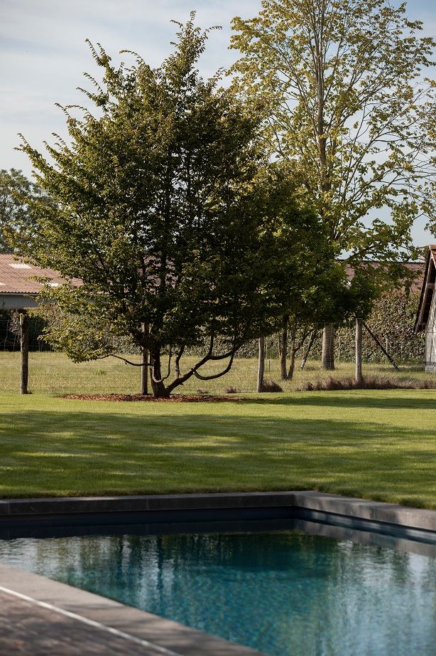 domein la source - domaine source fusion in Domein La Source, Luxury, Design, Exclusive, Modern, Custom Made, Special, Beautiful