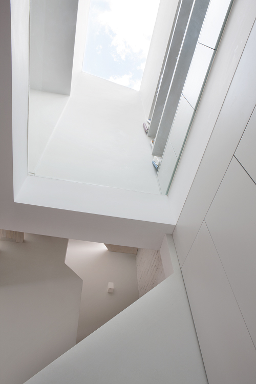 leinster rugby - daniella cesarei photography in Leinster Mews, Luxury, Design, Exclusive, Modern, Custom Made, Special, Beautiful