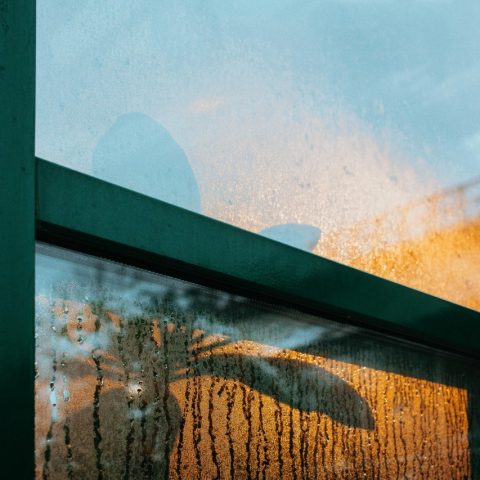 Traiter efficacement les problèmes d’humidité dans la maison grâce aux déshumidificateurs