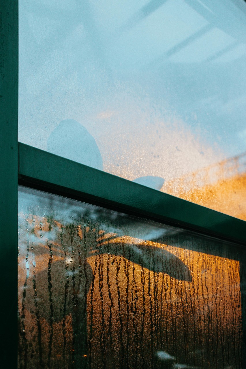 Traiter efficacement les problèmes d’humidité dans la maison grâce aux déshumidificateurs