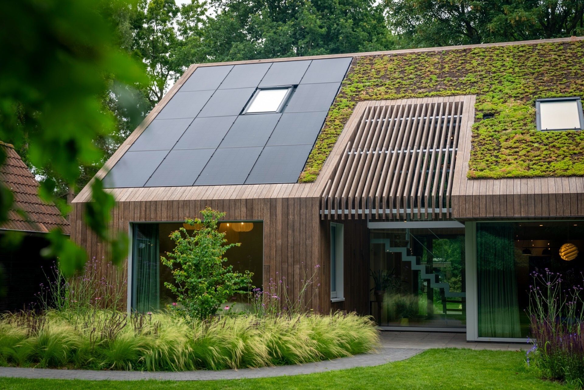 bamboe niet woekerend - niet woekerende bamboe in Bamboe in Berkum, Luxury, Design, Exclusive, Modern, Custom Made, Special, Beautiful