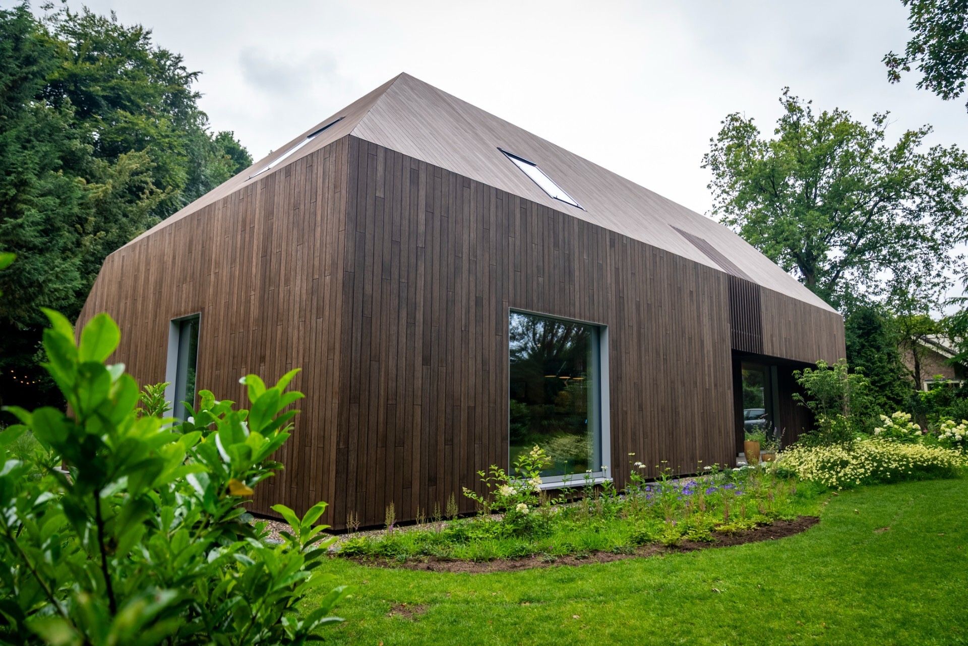 bamboe niet woekerend - niet woekerende bamboe in Bamboe in Berkum, Luxury, Design, Exclusive, Modern, Custom Made, Special, Beautiful