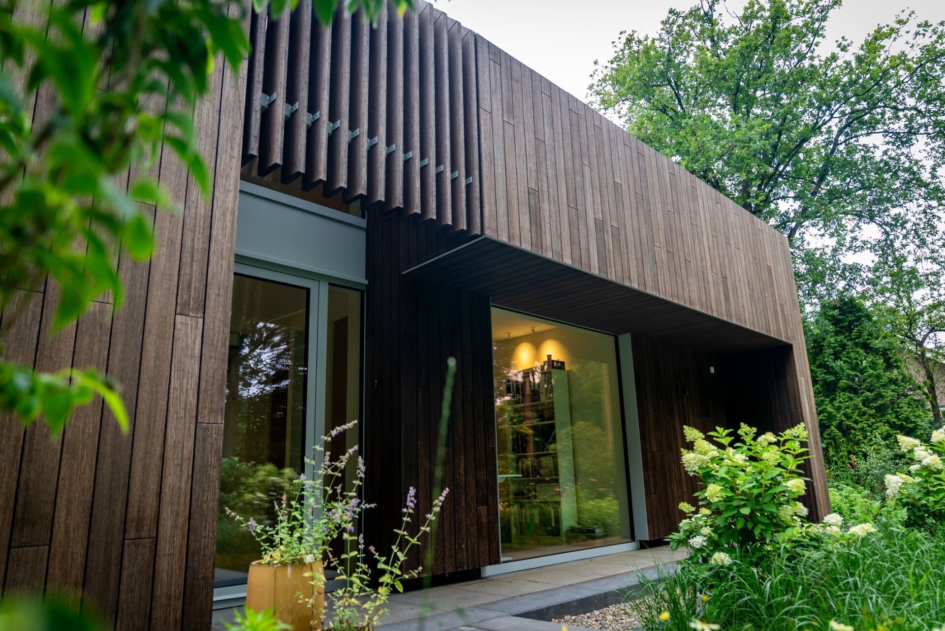 bamboe niet woekerend - niet woekerende bamboe in Bamboe in Berkum, Luxury, Design, Exclusive, Modern, Custom Made, Special, Beautiful