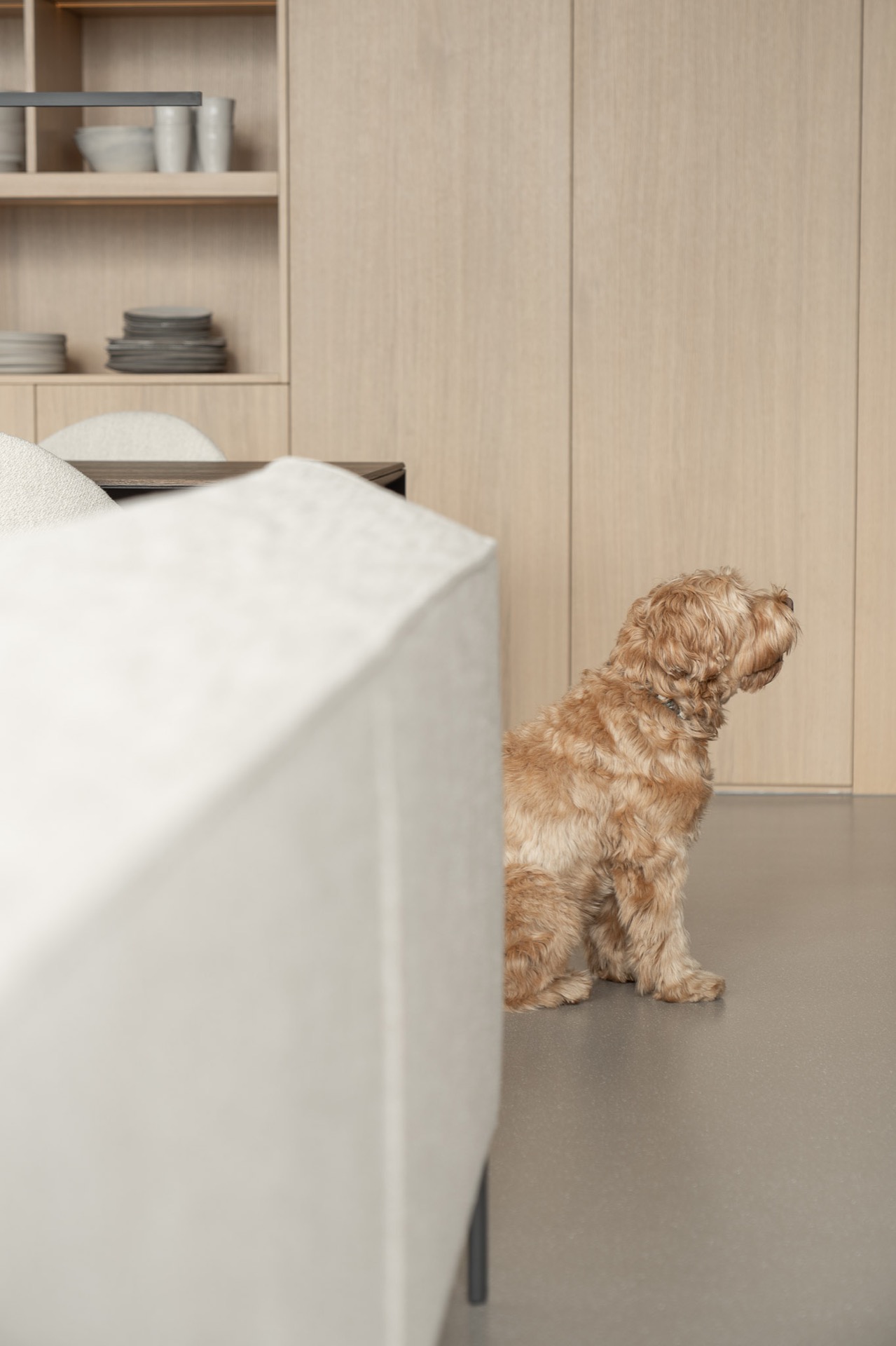 terrazzo gietvloer - appartement begint ontwerp in Barosso gietvloer, Luxe, Design, Exclusief, Modern, Maatwerk, Bijzondere, Mooie