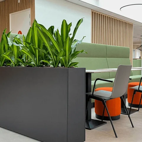 Groene wanden als integraal onderdeel van modern kantoorontwerp