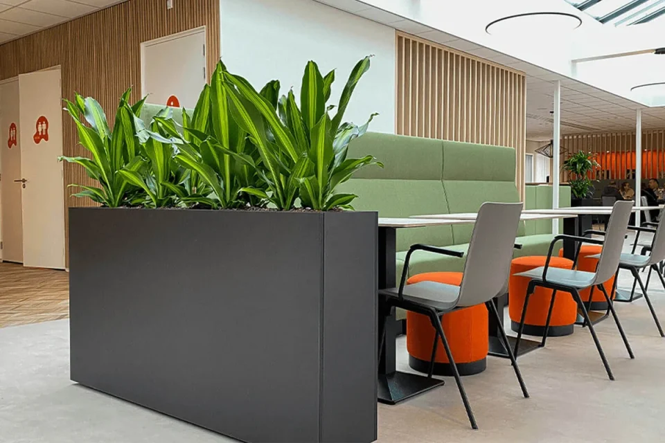 Groene wanden als integraal onderdeel van modern kantoorontwerp blogafbeelding 1