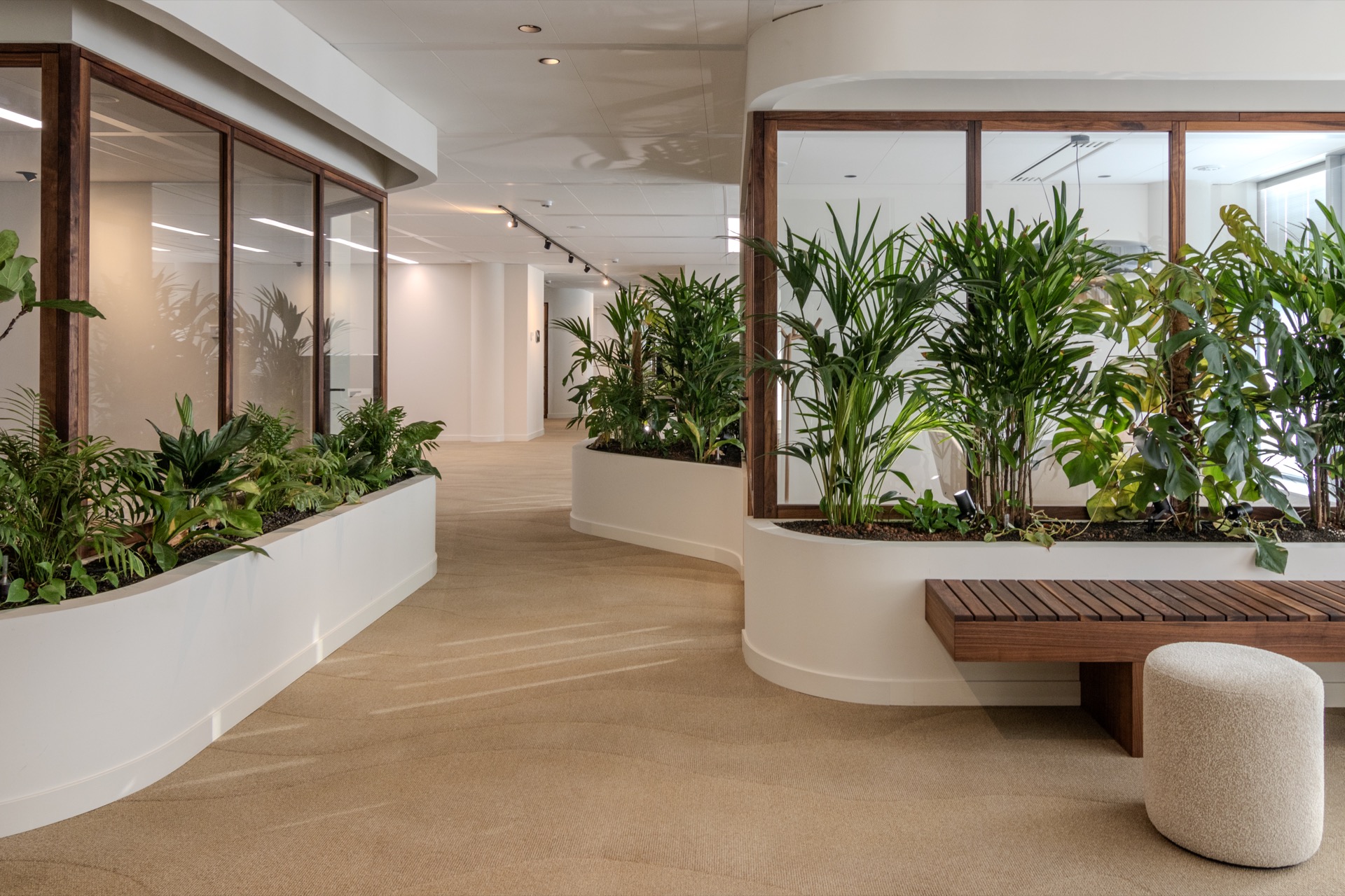 Luxury, Design, Exclusive, Modern, Custom Made, Special, Beautiful