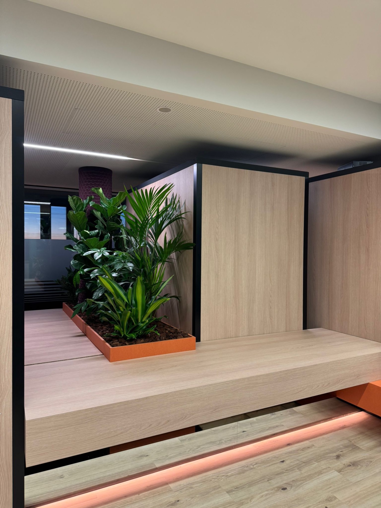 Luxury, Design, Exclusive, Modern, Custom Made, Special, Beautiful