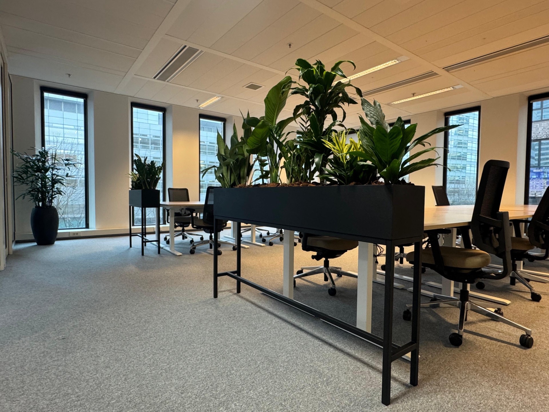 Luxury, Design, Exclusive, Modern, Custom Made, Special, Beautiful